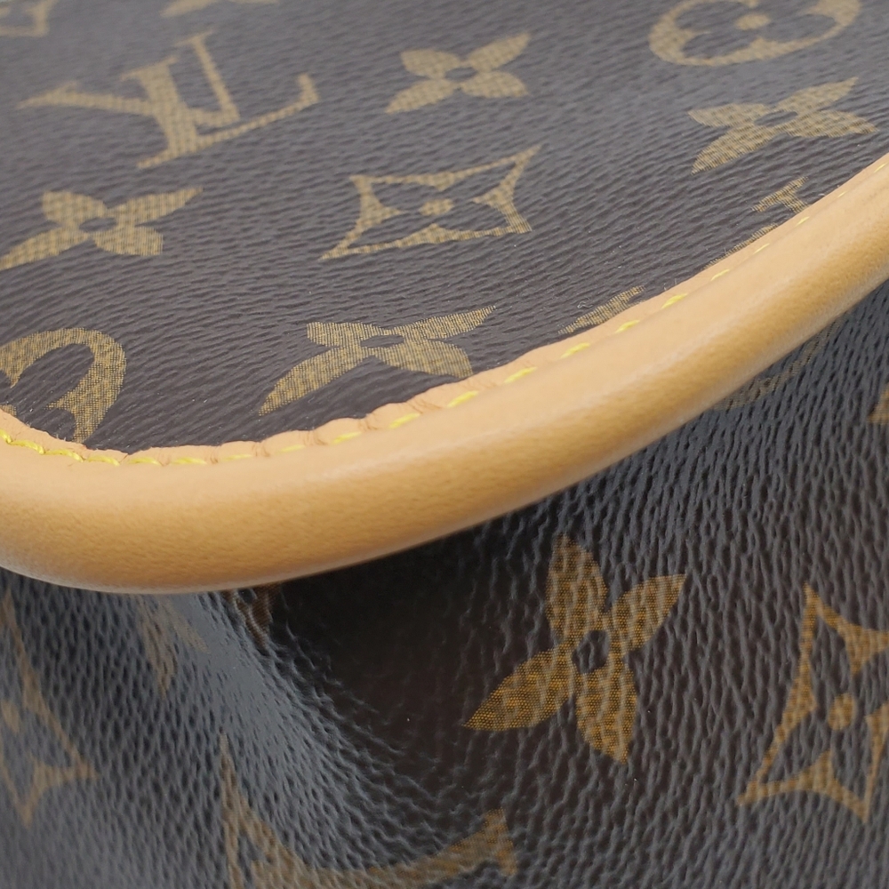 Louis Vuitton Diane PM Monogram PM - Picture 11 of 15